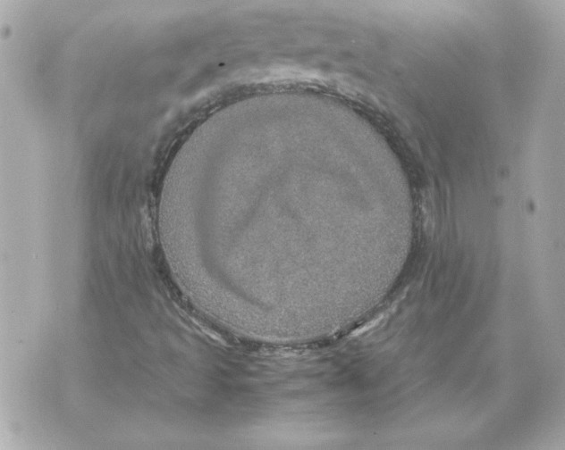 X0000070411493200607072256