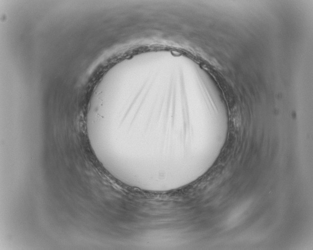 X0000070411495200607072256