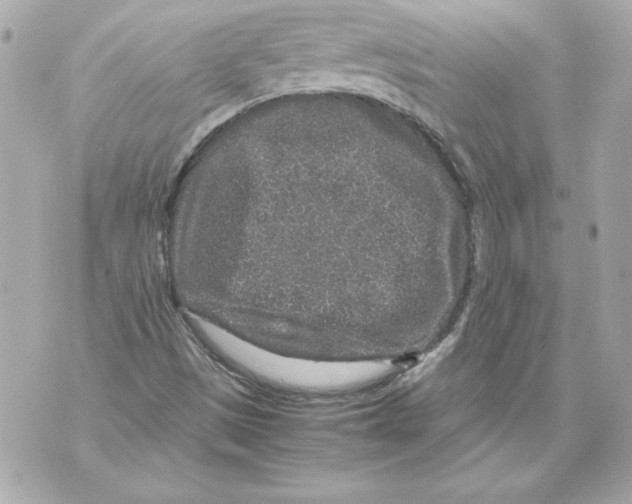 X0000070411497200607072256