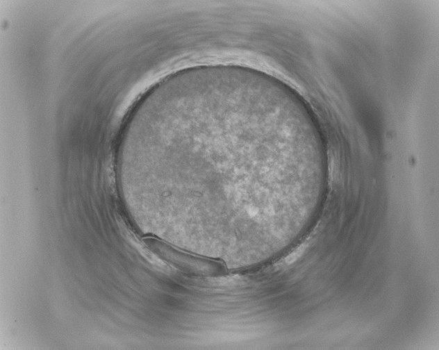 X0000070411498200607072256