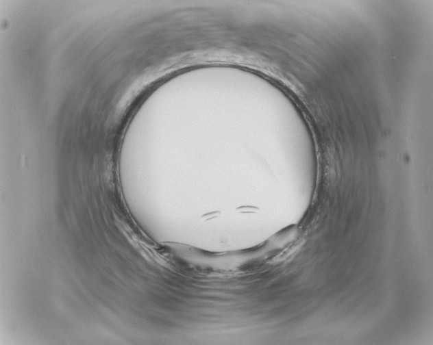 X0000070411499200607072256