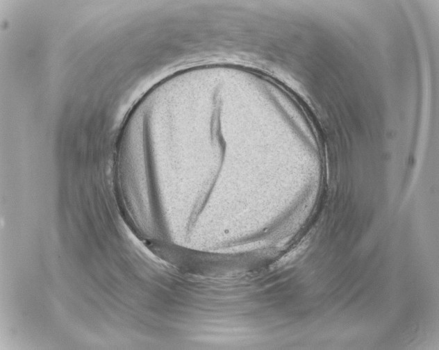 X0000070411500200607072256