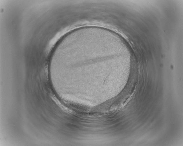 X0000070411503200607072256