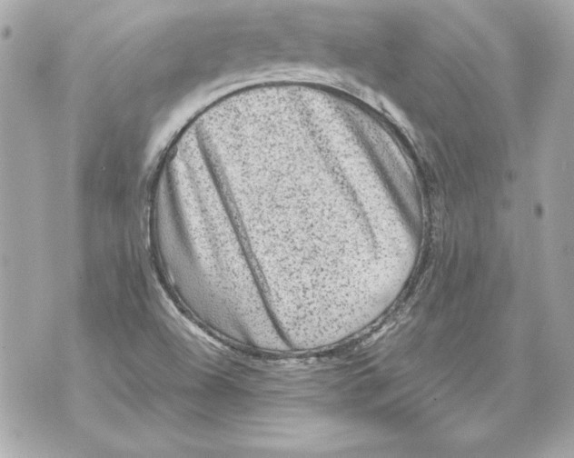 X0000070411504200607072256