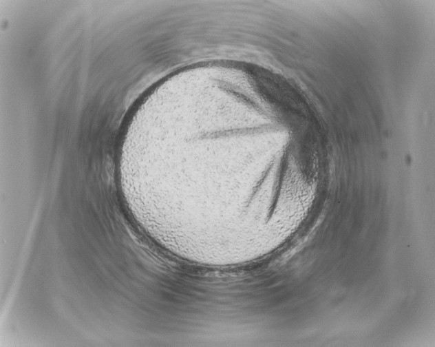 X0000070411505200607072256