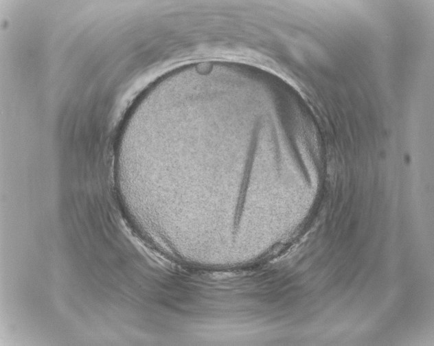 X0000070411507200607072256