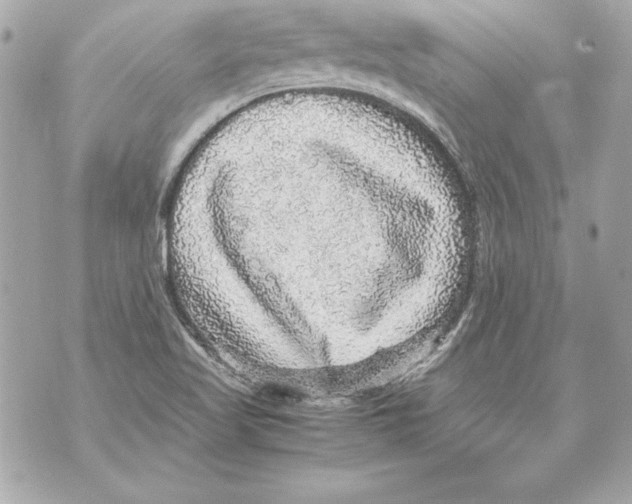 X0000070411509200607072256