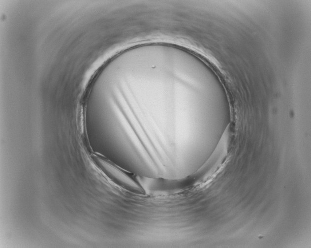 X0000070411510200607072256