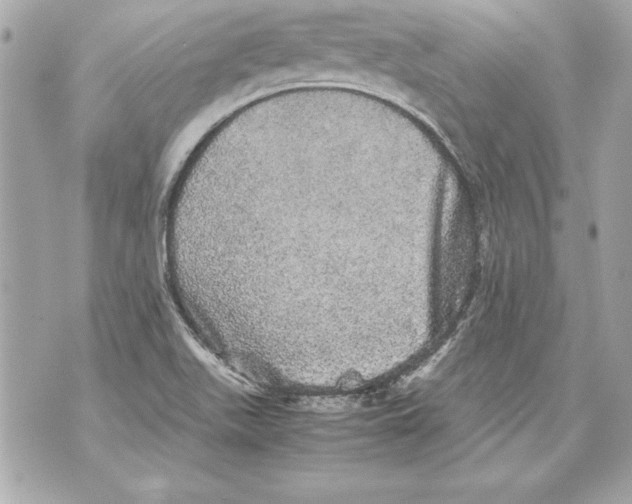 X0000070411511200607072256