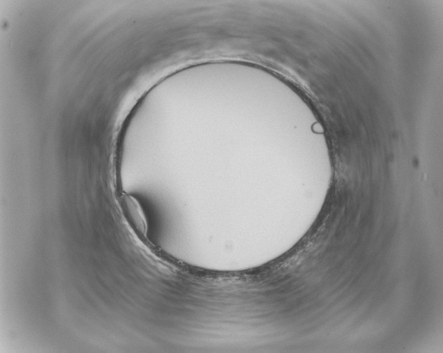 X0000070411512200607072256