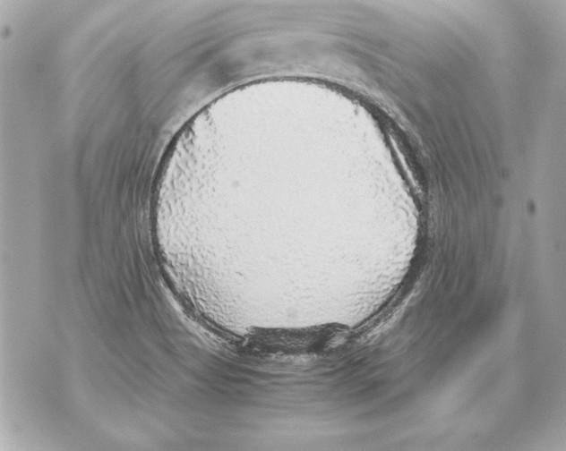 X0000070411513200607072256