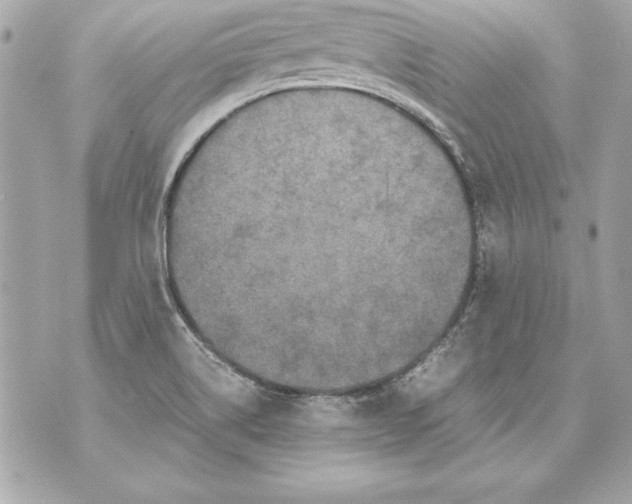 X0000070411514200607072256