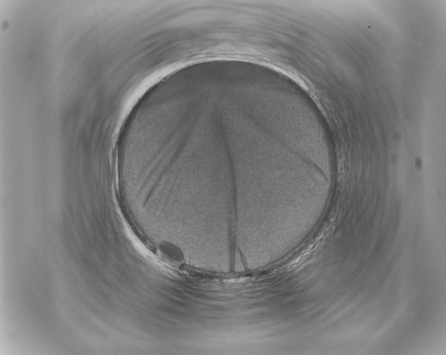 X0000070411515200607072256