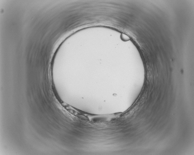 X0000070411516200607072256