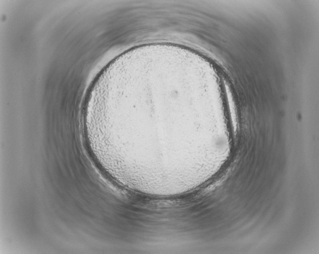 X0000070411517200607072256