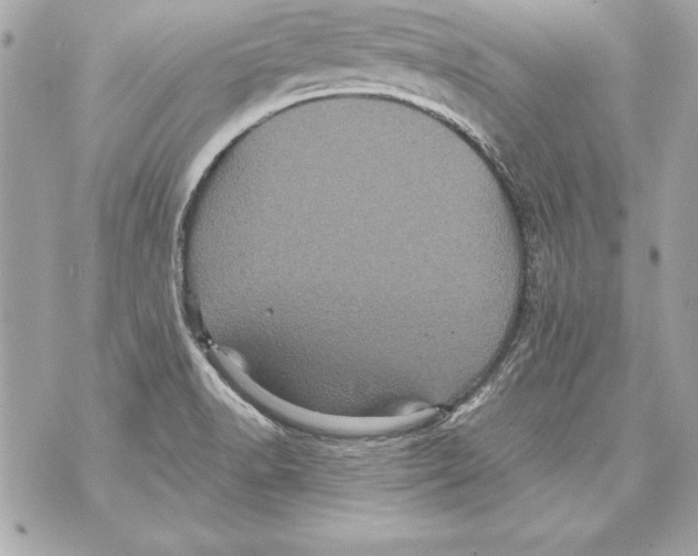 X0000070411518200607072256