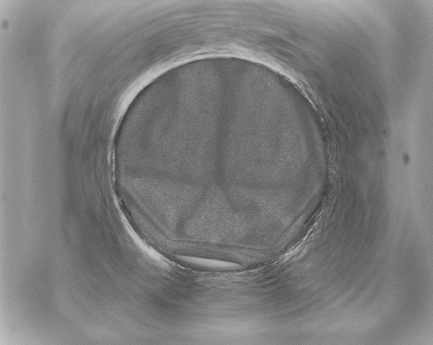 X0000070411519200607072256