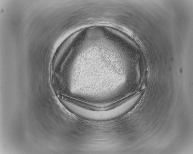 X0000070411520200607072256