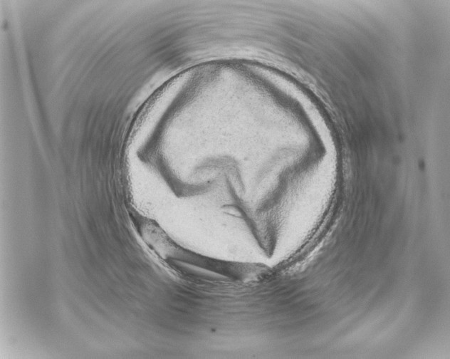 X0000070411521200607072256