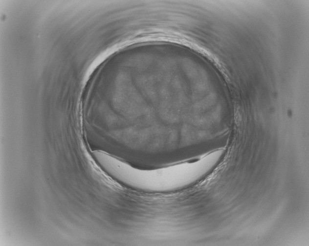 X0000070411522200607072256