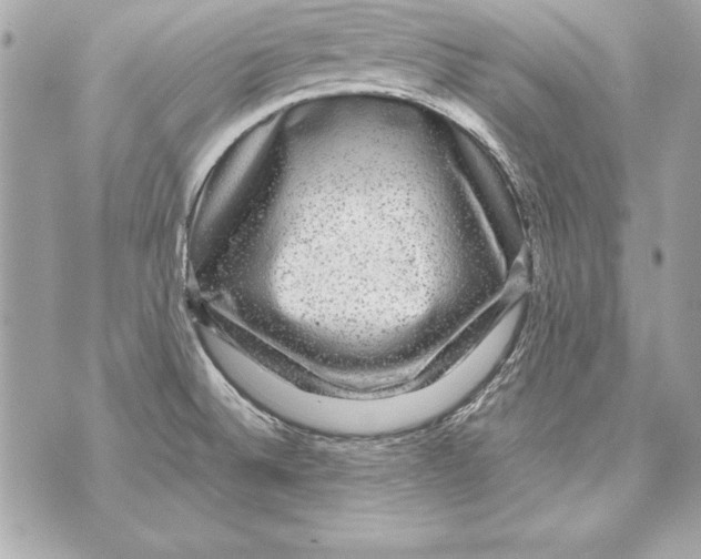 X0000070411524200607072256