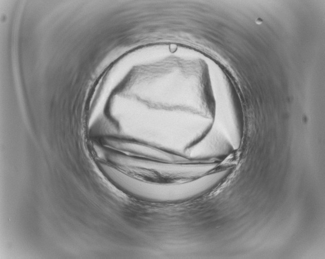 X0000070411525200607072256