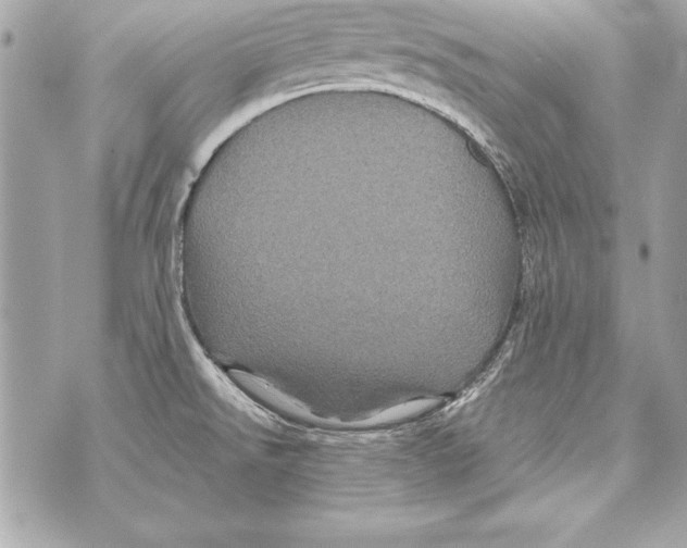 X0000070411526200607072256