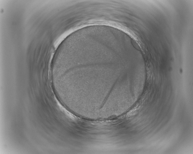 X0000070411527200607072256