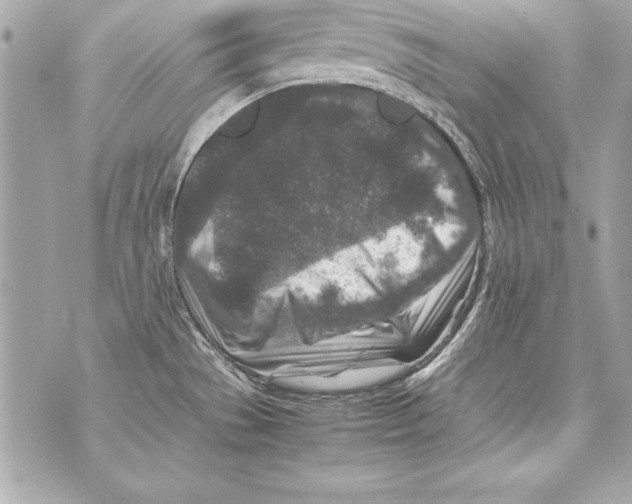 X0000070411529200607072256