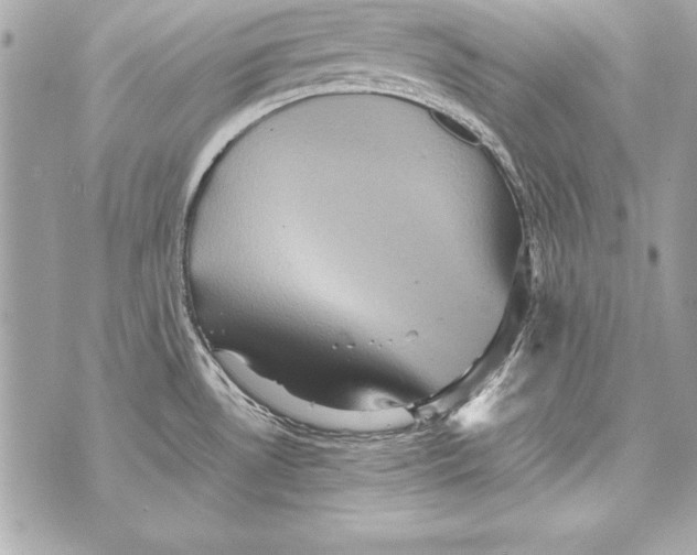 X0000070411530200607072256