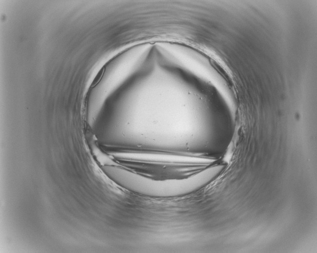 X0000070411532200607072256