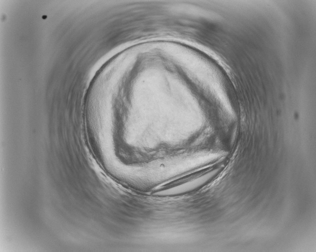 X0000070411534200607072256