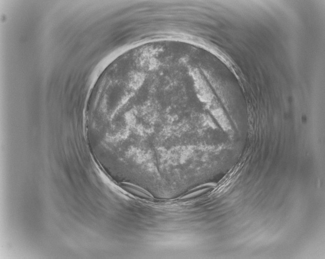 X0000070411535200607072256