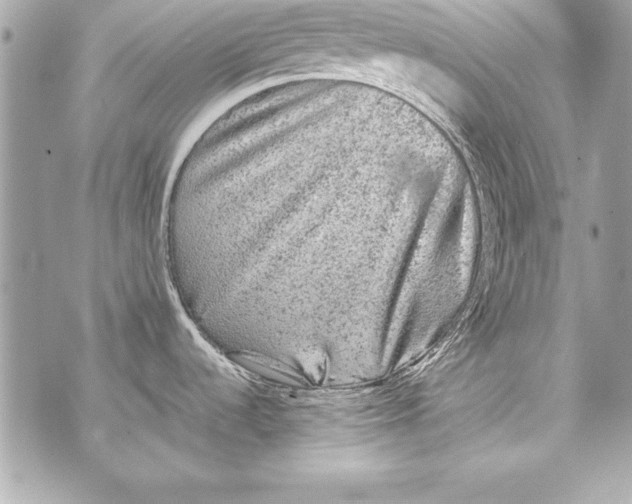 X0000070411536200607072256