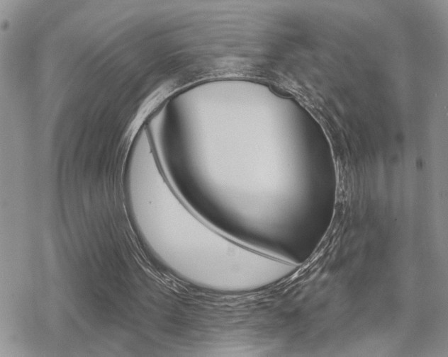 X0000070420099200606090948