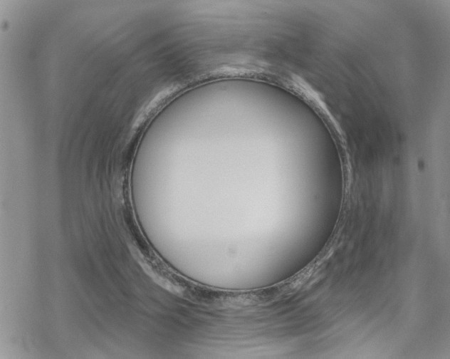 X0000070420106200606090948