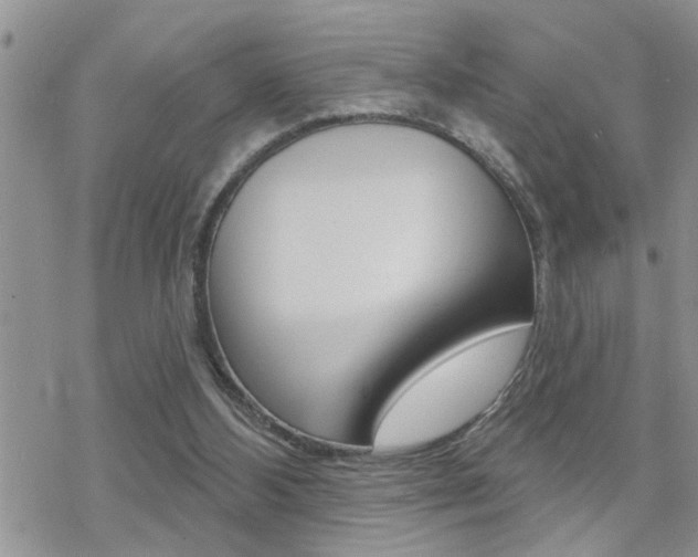 X0000070420108200606090948