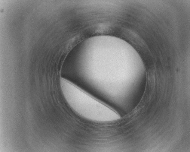X0000070420127200606090948