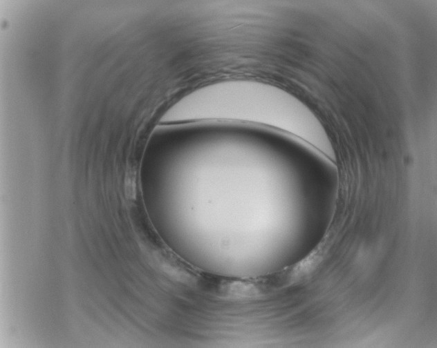 X0000070420180200606090947