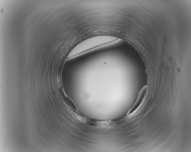 X0000070420192200606090947