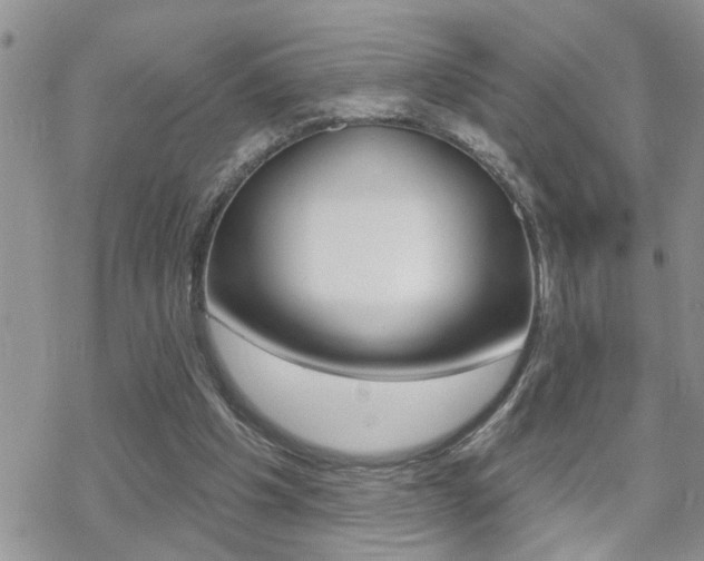 X0000070420201200606090946