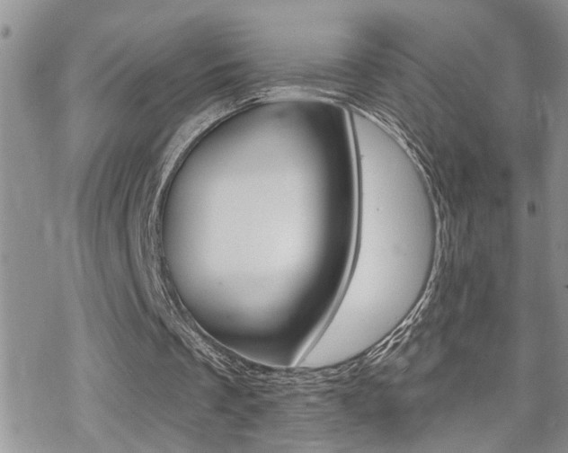 X0000070420289200606090945