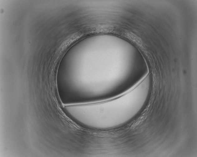 X0000070420673200606090939
