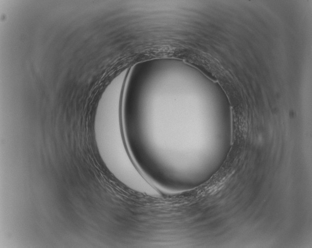 X0000070420818200606090936