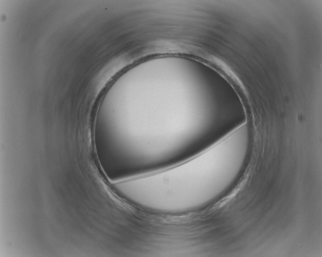 X0000070420837200606090936