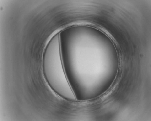 X0000070420853200606090936