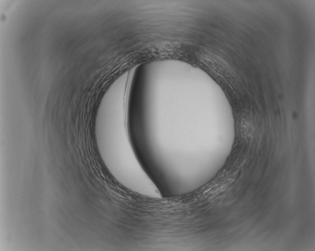 X0000070420865200606090936
