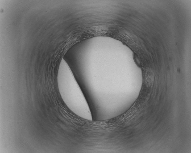X0000070420866200606090936