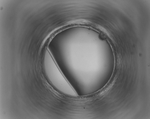 X0000070420923200606090934