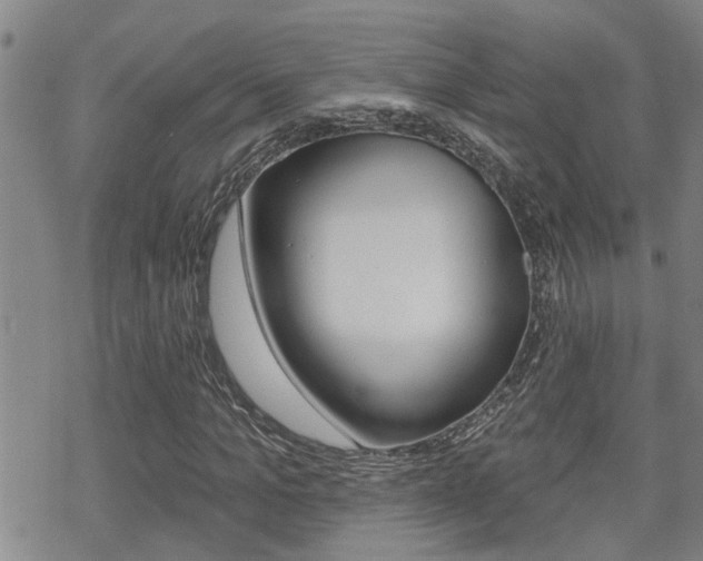 X0000070420965200606090934
